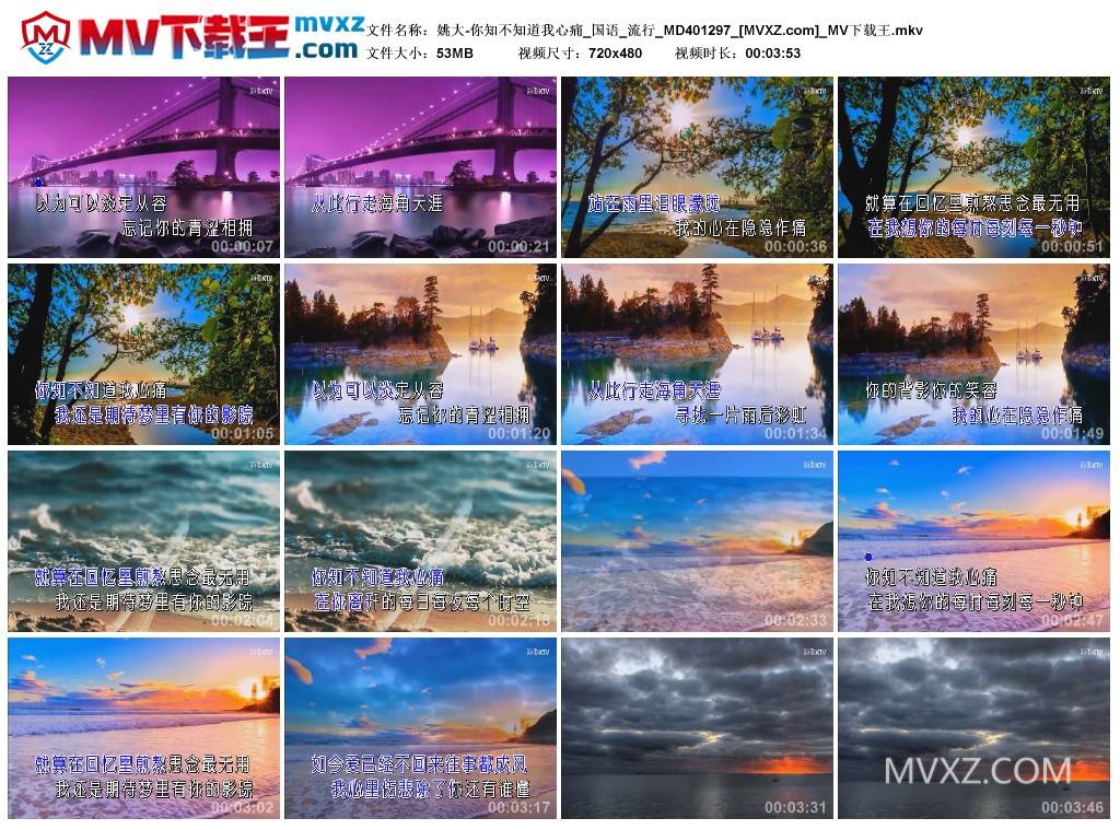 姚大-你知不知道我心痛_国语_流行_MD401297